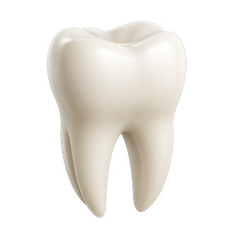 Odontología