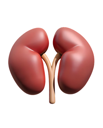 Urología